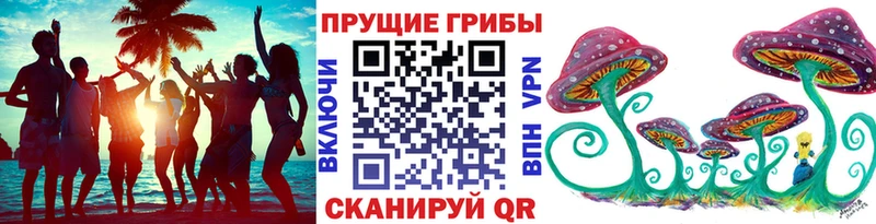 Галлюциногенные грибы MAGIC MUSHROOMS  где продают наркотики  Ипатово 