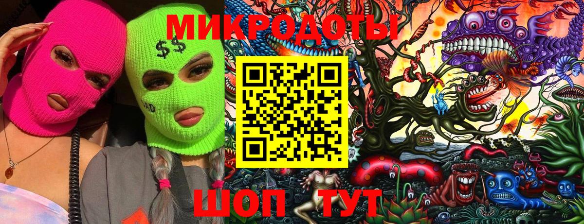 Псилоцибиновые грибы Psilocybe  Вход с VPN  Ипатово 