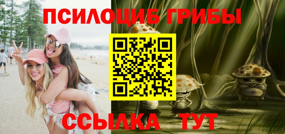 Псилоцибиновые грибы Psilocybine cubensis  Ипатово 